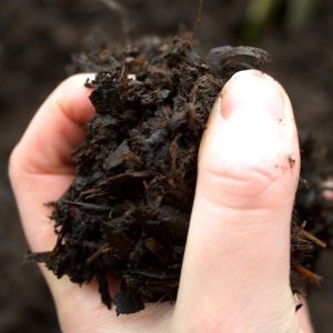 چگونه بستر کشت را حاصلخیز کنیم