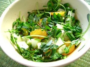 چگونگی مراقبت از گیاه خرفه خوراکی