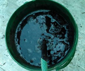 آموزش کاشت بذر گیاه آدنیوم
