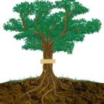 بن سای خود را در خانه بسازید – نکات مهم برای ساخت و طراحی بن سای-۱
