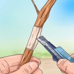 بن سای خود را در خانه بسازید – نکات مهم برای ساخت و طراحی بن سای-۲