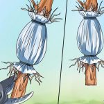 بن سای خود را در خانه بسازید – نکات مهم برای ساخت و طراحی بن سای-۳